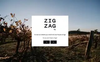 Zigzagwines.com.au Screenshot 2024-06-17 01:43:29