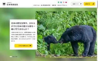 Kumamori.org Screenshot 2024-07-09 17:28:55