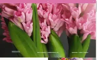 Florta.mx Screenshot 2024-05-04 03:49:23