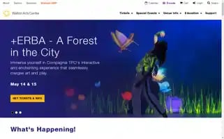 Waltonartscenter.org Screenshot 2024-05-14 23:35:06