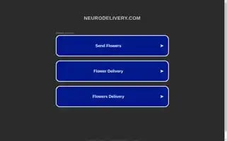 Neurodelivery.com Screenshot 2024-06-17 18:00:26