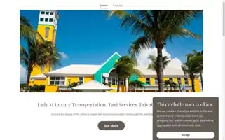 Ladymtaxiandtoursservices.com Screenshot 2024-04-19 07:35:57