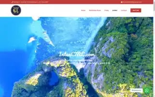 Intancml.com Screenshot 2024-05-24 01:39:06