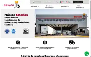 Brinco.com.mx Screenshot 2024-07-01 15:24:24