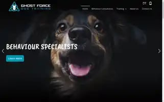 Ghostforcek9.com Screenshot 2024-06-19 02:26:16