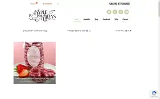 Maplemollys.co.uk Screenshot 2024-06-12 08:10:41