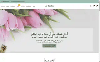 Tookiegifts.com Screenshot 2024-04-27 07:50:12