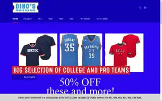 Dinossportsfanshop.com Screenshot 2024-05-15 20:01:49