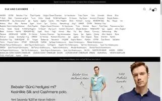 Silkandcashmere.com Screenshot 2024-06-16 18:07:45