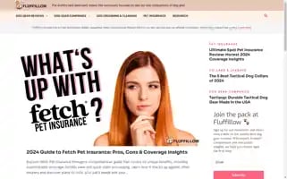 Fluffillow.com Screenshot 2024-05-28 22:19:29