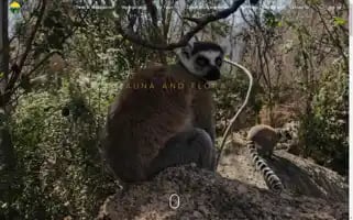 Mada-abc-tours.com Screenshot 2024-04-12 07:48:04