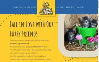Pawsplusclaws.com.au Screenshot 2024-05-20 17:55:27