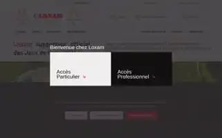 Loxam.fr Screenshot 2024-07-04 22:51:21