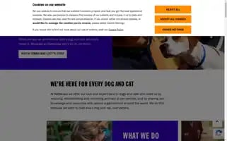 Battersea.org.uk Screenshot 2024-06-30 01:26:18