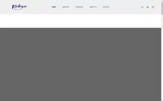 Katoya-innovations.com Screenshot 2024-05-27 08:32:47