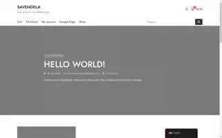 Savendela.com Screenshot 2024-05-20 23:50:07