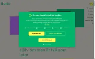 Mentor.se Screenshot 2024-06-11 22:28:28
