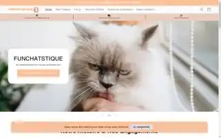 Funchatstique.com Screenshot 2024-05-02 06:39:23