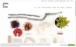 Annajuan.ch Screenshot 2024-07-03 02:57:19