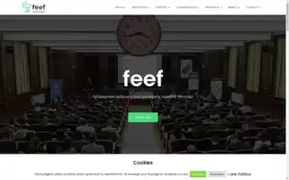Feef.es Screenshot 2024-06-30 14:20:42