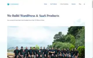 Codewing.co Screenshot 2024-06-13 05:34:17