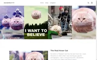 Hoverkitty.com Screenshot 2024-05-05 10:53:12