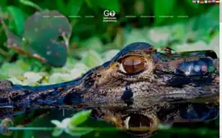 Goamazonexperiences.com Screenshot 2024-05-24 16:27:39