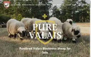 Purevalais.com Screenshot 2024-07-01 16:19:50