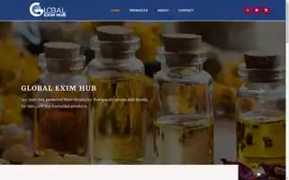 Globaleximhub.com Screenshot 2024-05-24 03:53:16