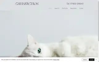 Catisfactionhotel.co.uk Screenshot 2024-04-17 15:58:51