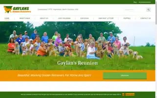 Gaylans.com Screenshot 2024-06-12 19:13:14