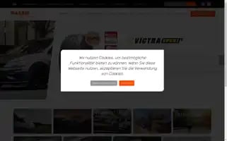 Maxxis.de Screenshot 2024-06-30 18:08:14