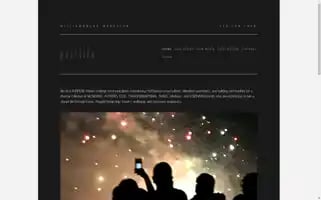 Paimedia.com Screenshot 2024-06-29 14:39:34