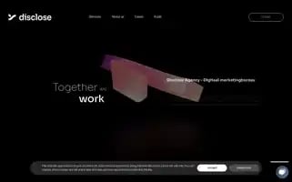 Discloseagency.nl Screenshot 2024-06-16 18:28:09