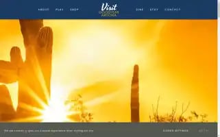 Visitgoodyear.com Screenshot 2024-06-13 08:44:27