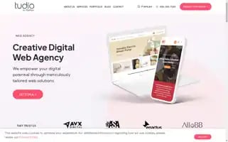 Tudio.ca Screenshot 2024-07-02 17:54:15