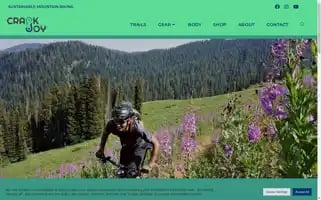 Crankjoy.com Screenshot 2024-07-05 14:58:51