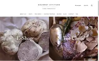 Gourmetattitude.com Screenshot 2024-05-05 11:36:51