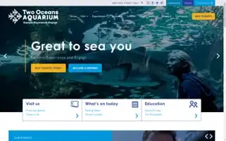 Aquarium.co.za Screenshot 2024-06-13 19:50:55