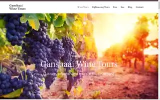 Gansbaaiwinetours.com Screenshot 2024-04-26 18:14:23