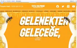 Yaylabalpinari.com Screenshot 2024-06-26 23:25:13