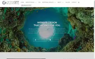 Antsyantwebdesign.com Screenshot 2024-06-13 13:06:39