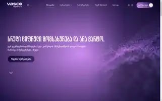 Vasco.ge Screenshot 2024-06-16 01:00:27