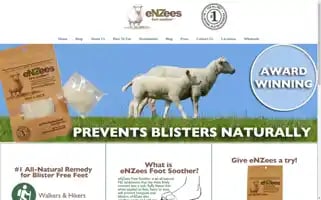 Enzeesfootsoother.com Screenshot 2024-05-05 20:23:54