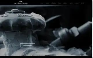 Thecryogroup.com Screenshot 2024-07-05 17:55:19