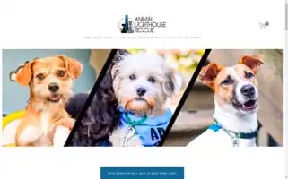 Alrcares.com Screenshot 2024-07-01 11:32:40