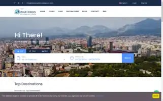 Bluewingstravelagency.com Screenshot 2024-04-24 03:01:32