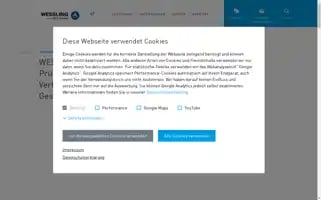 Wessling-group.com Screenshot 2024-07-10 01:27:45