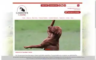 Camddwrcanine.co.uk Screenshot 2024-05-08 23:18:30