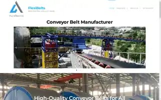 Flexibelts.com Screenshot 2024-05-24 20:22:03